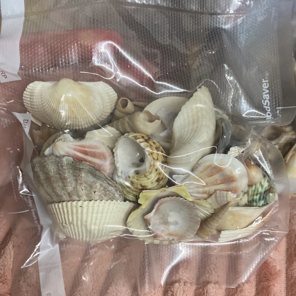 Shells 🐚 and corks - Picture 5 of 16